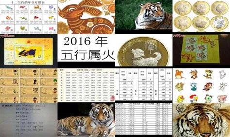 2010年是什么年|2010年是什么年